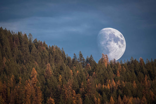Moonrise on Bombi Mountain