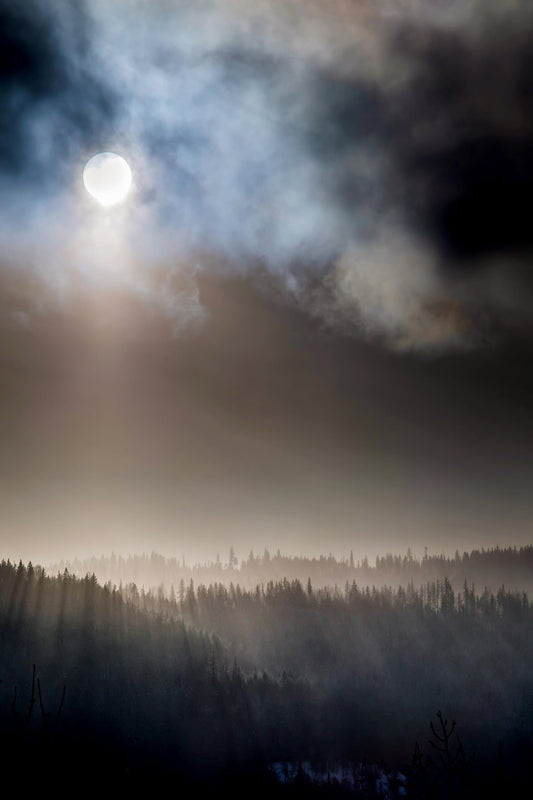 Rialto Winter Sunrise