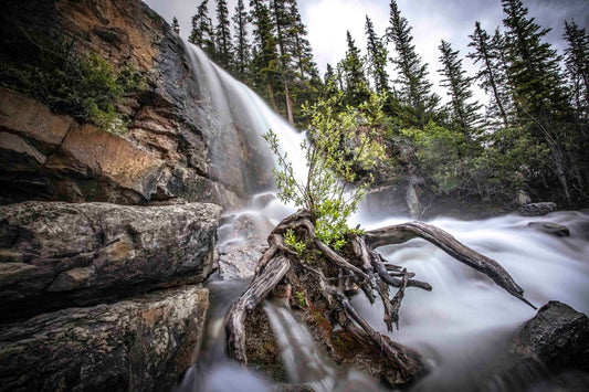 Tangle Waterfalls Icefields Parkway