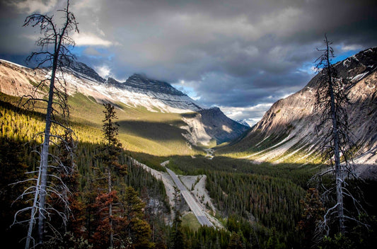 View on the Icefield Pkwy Alberta