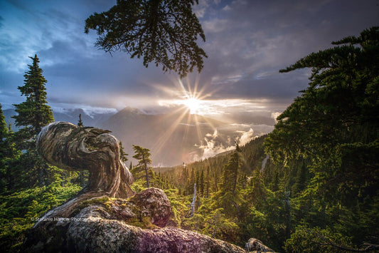 Bella Coola Mountain Summit