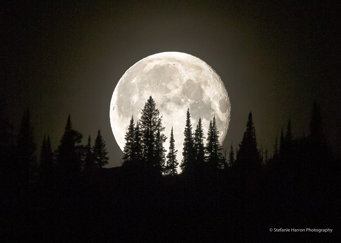 Mountain Ridge Moonrise