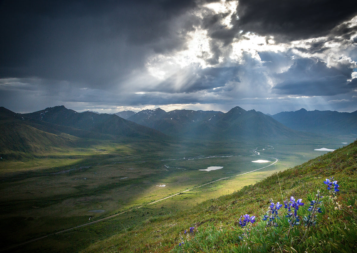 Tombstone Valley Yukon Canada