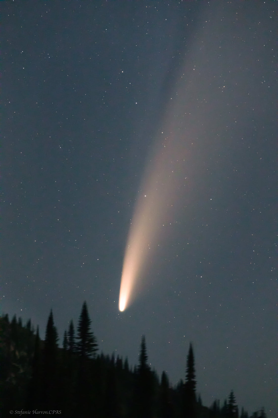 Neowise Comet, C/2020 F3