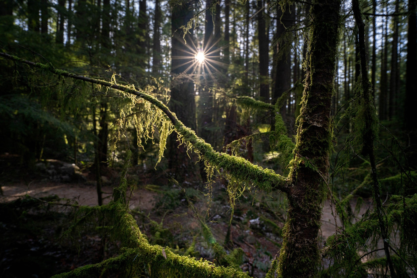 Spirit Park, Vancouver BC