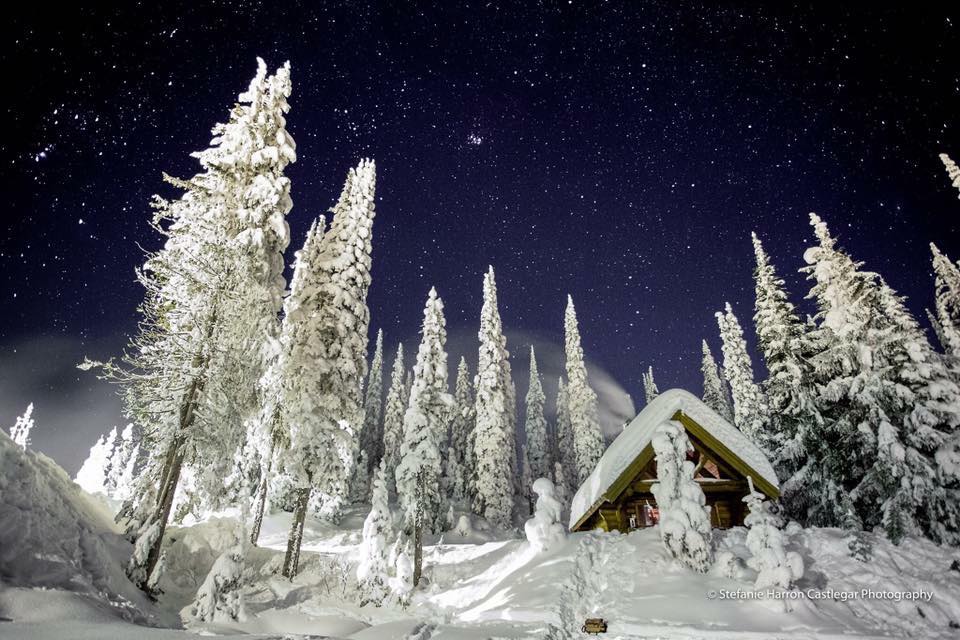 The Cabin