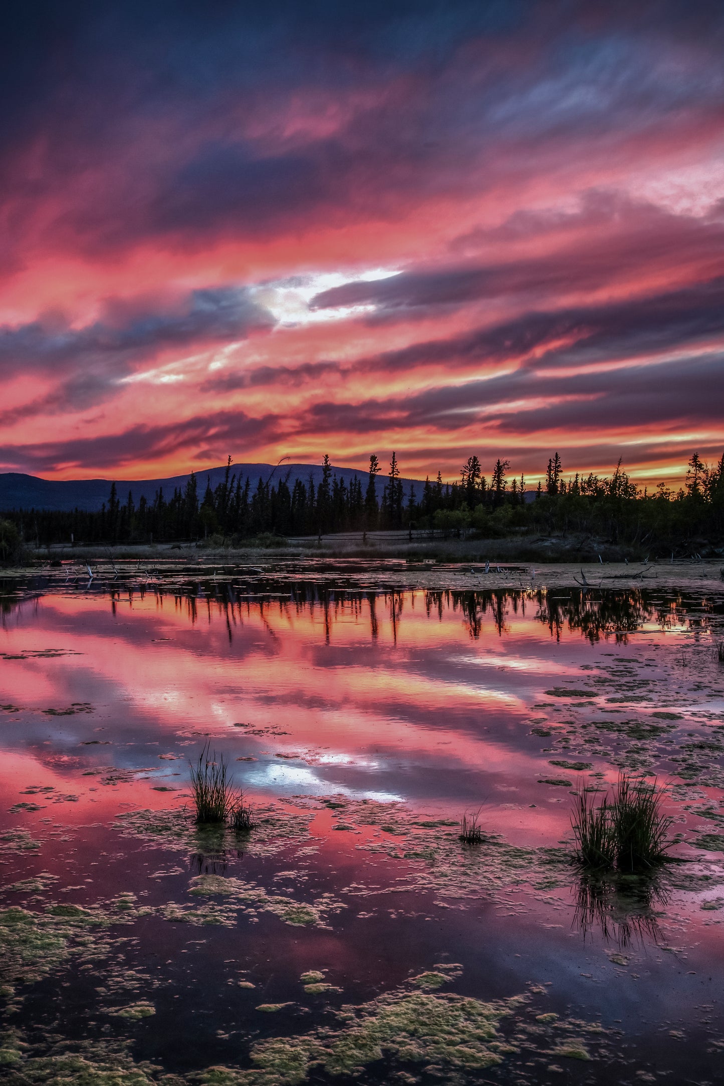 Alaskan Highway Sunset