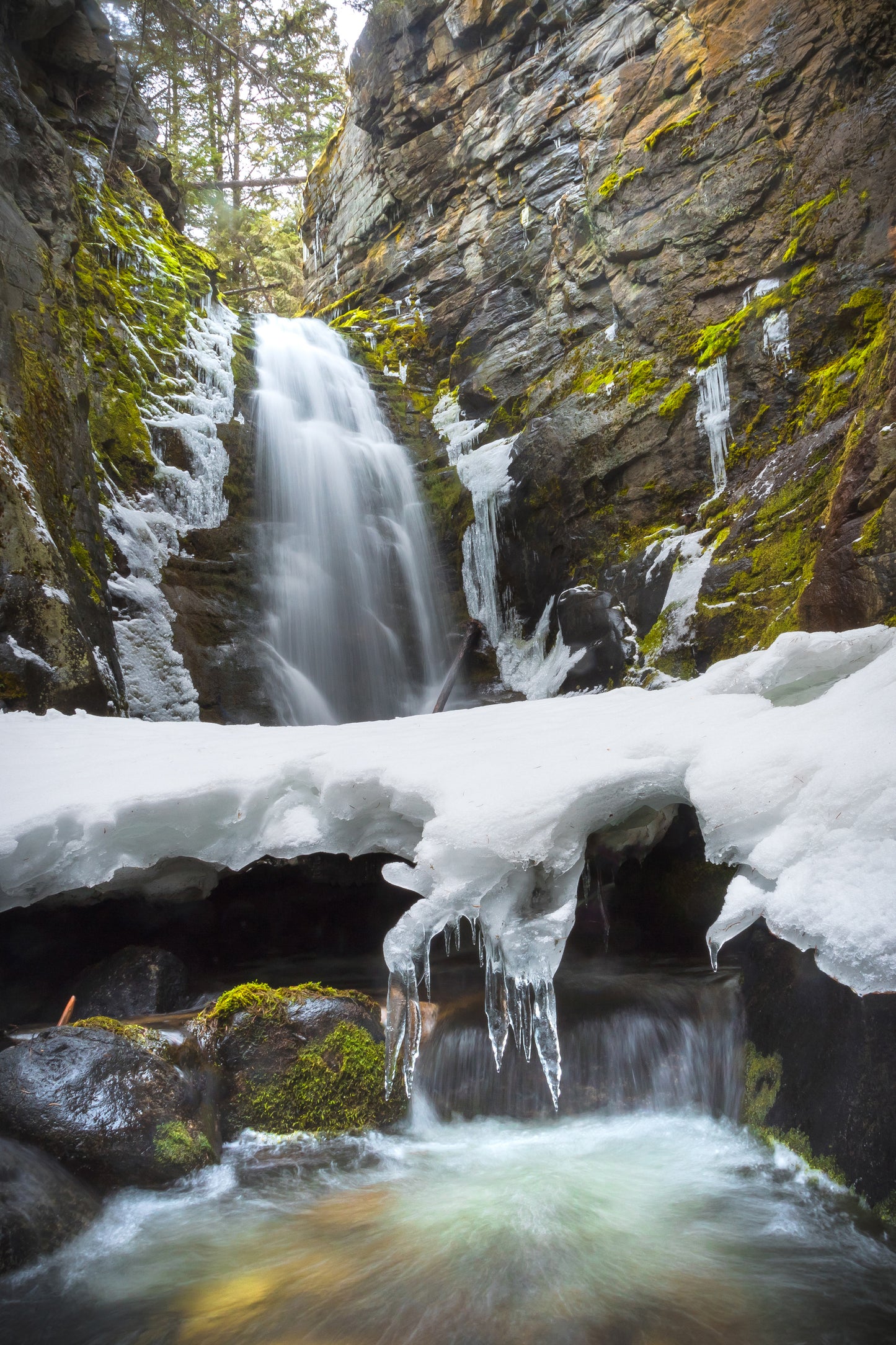 Tulip Creek Winter
